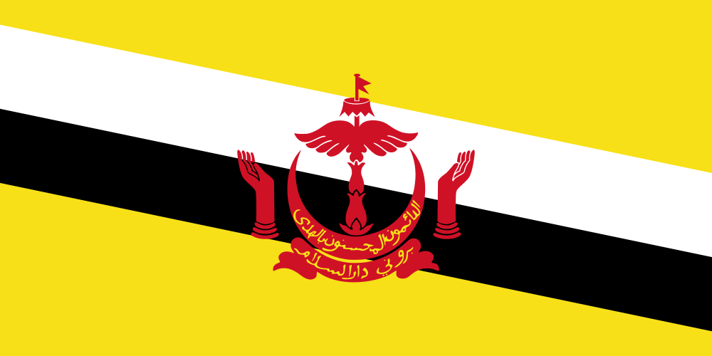 eSIM for Brunei Darussalam