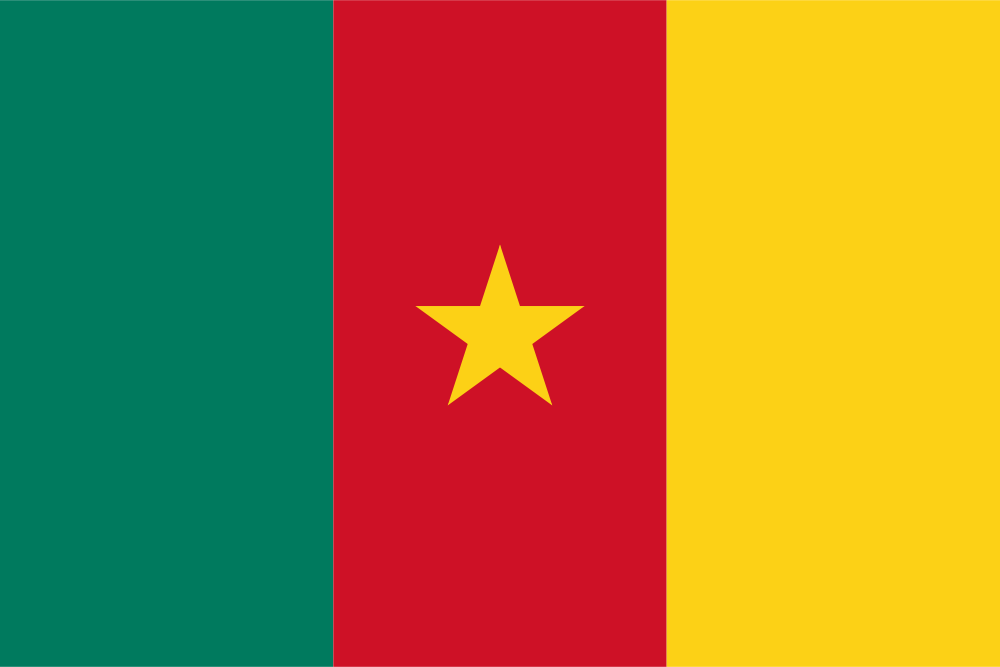 eSIM for Cameroon